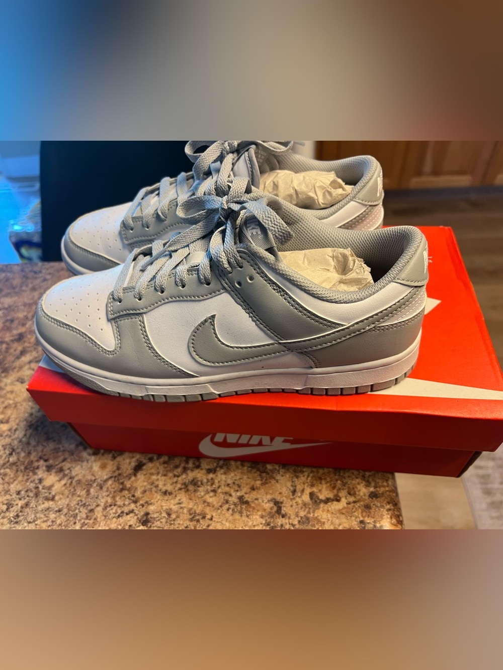 Nike Dunk Low Sneakers in Light Gray & White only wore once